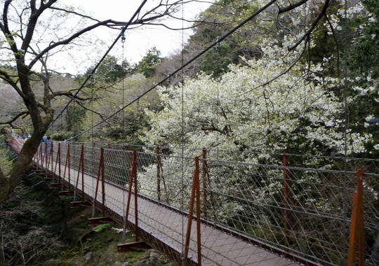 c0122791_2131643.jpg