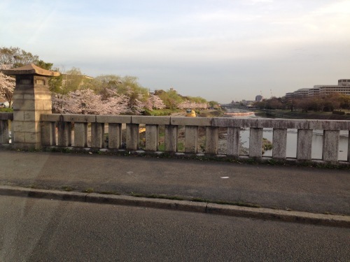 春爛漫_f0347891_22234606.jpeg