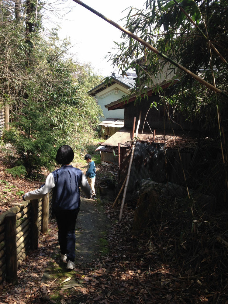 家族旅行@粟島_b0349892_13422682.jpg