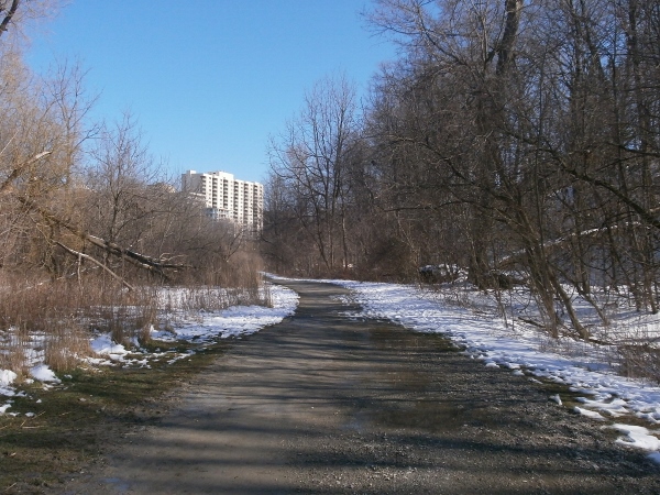 雪の散歩道_d0000995_12485841.jpg