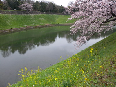 e0117197_17391272.jpg