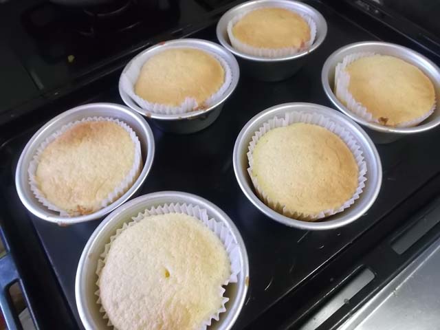 いちごのプチケーキ&キクザキイチゲ_f0019498_121391.jpg