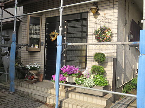 d0046702_74998.jpg