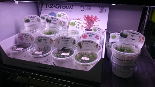 1-2-Grow!数量限定特売!_b0141806_05494639.jpg
