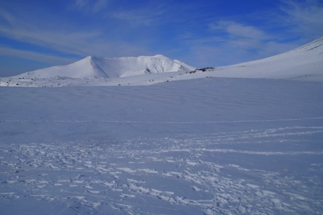 a0345007_8254998.jpg