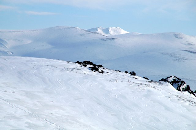 a0345007_8262144.jpg
