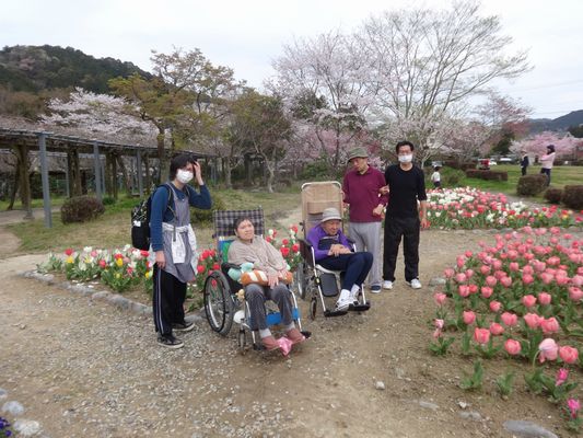 4/6 野原公園_a0154110_10342664.jpg