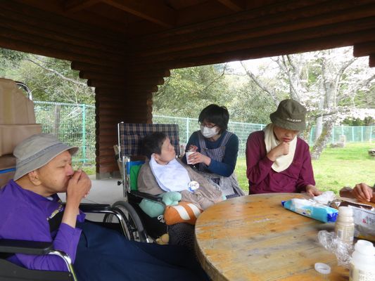 4/6 野原公園_a0154110_10343399.jpg