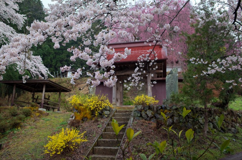 雨の昌福寺_a0268412_22531096.jpg