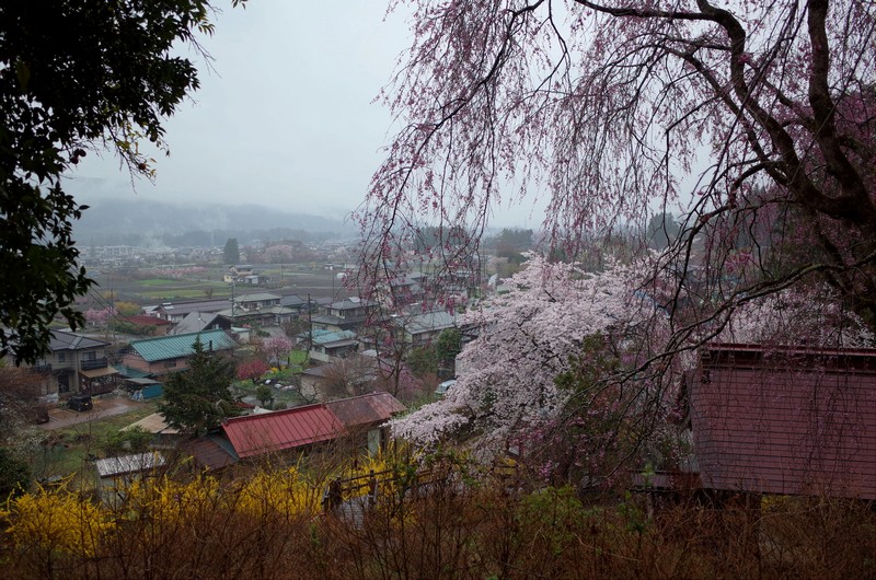 雨の昌福寺_a0268412_22531392.jpg