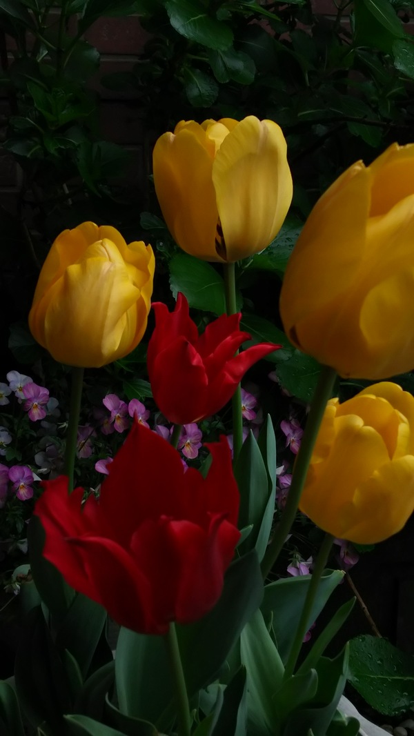 c0090212_15183755.jpg