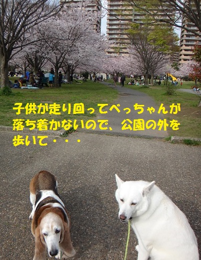 f0121712_16212093.jpg