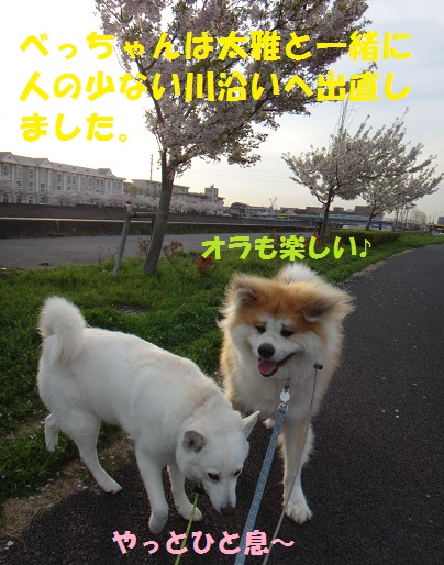 f0121712_16212779.jpg
