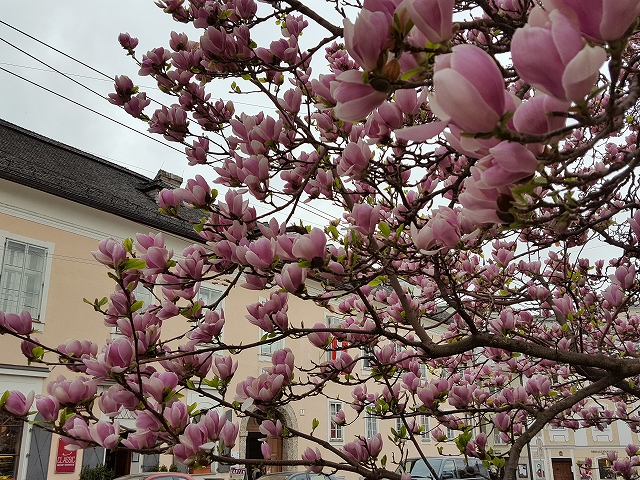 c0167813_703651.jpg