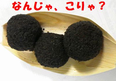 イカ爆弾を知ってるかい?_e0234016_16344186.jpg