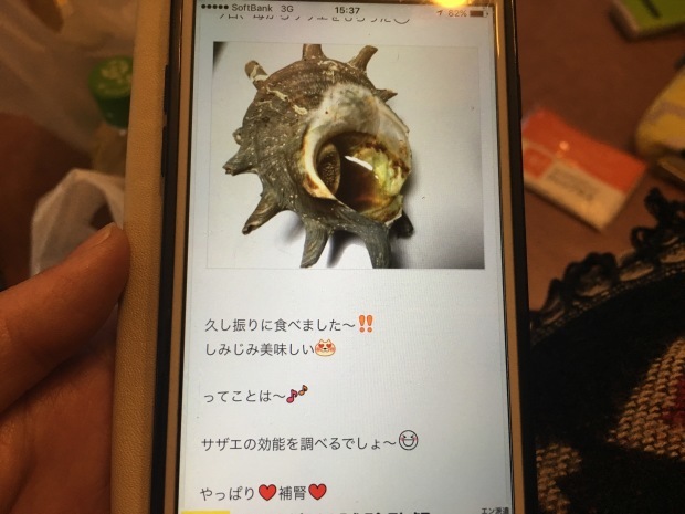 e0172219_22225203.jpeg
