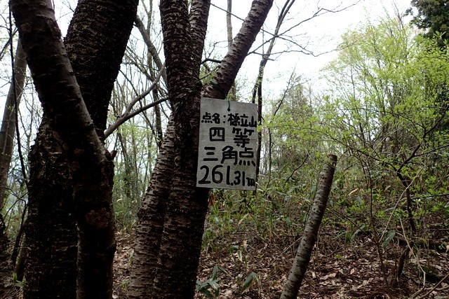 c0369423_13465960.jpg