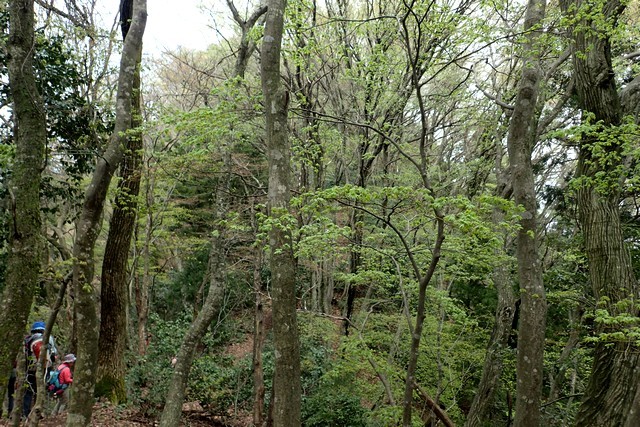 c0369423_13470611.jpg