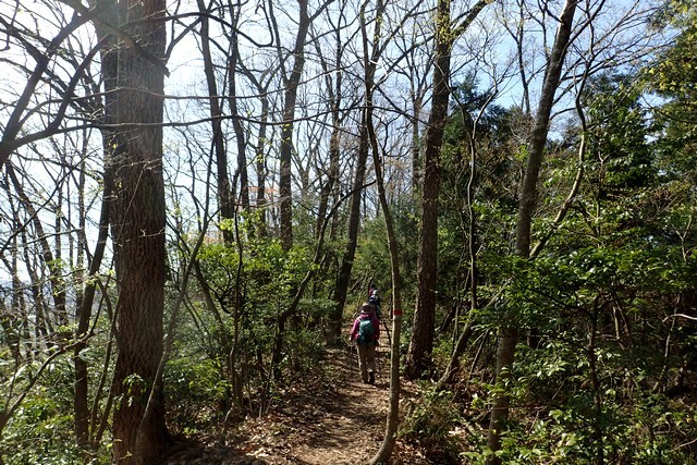 c0369423_13571672.jpg