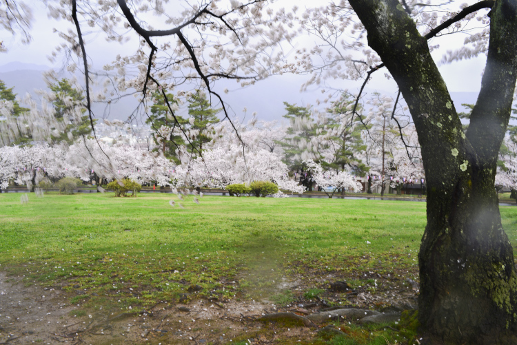 雨の城山公園_d0265224_19543423.jpg