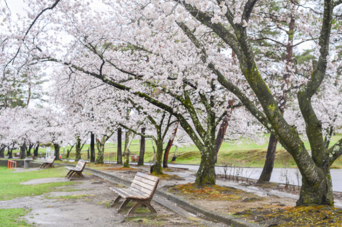 雨の城山公園_d0265224_19544162.jpg