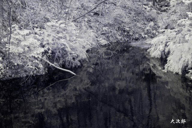 f0186527_19342926.jpg