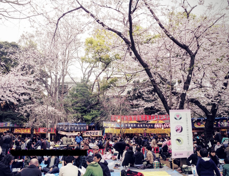 靖国神社の桜まつりでもつ煮込みとビール。_b0024832_23084427.jpg