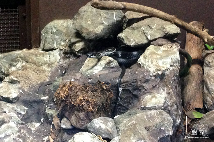 413 旭山動物園 ~家族で動物園~_c0211532_2319749.jpg