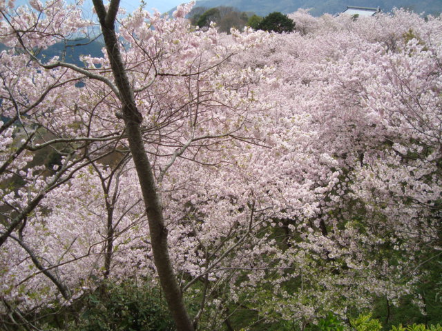 e0060041_9185179.jpg