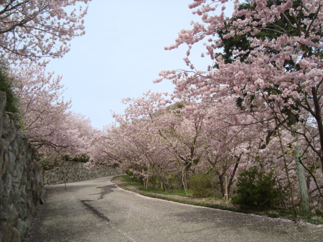 e0060041_918749.jpg