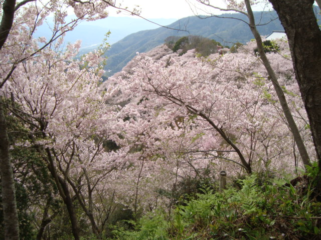 e0060041_9191335.jpg