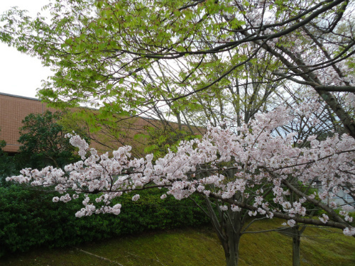 a0161943_18181066.jpg