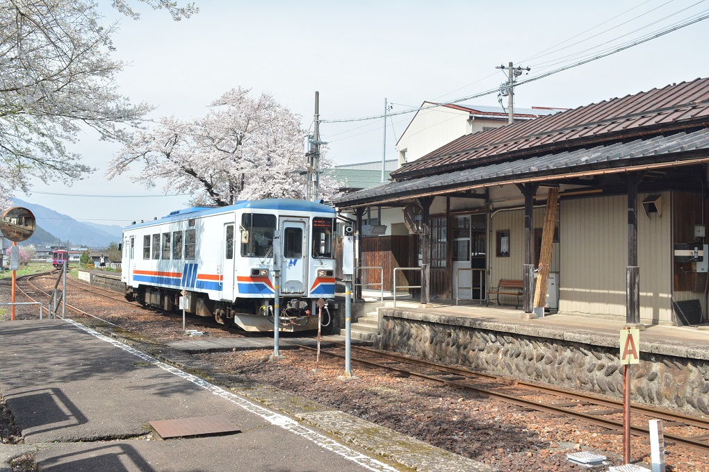 春の長良川鉄道。_a0055650_13255090.jpg