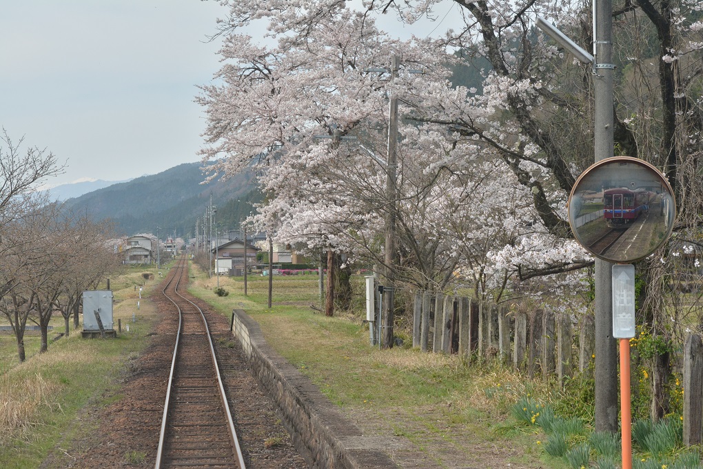 春の長良川鉄道。_a0055650_13332585.jpg