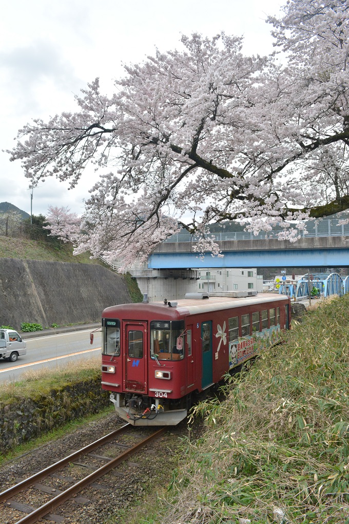 春の長良川鉄道。_a0055650_1335281.jpg