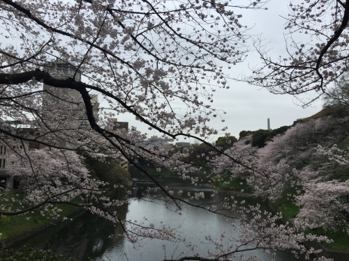 c0274350_17495937.jpeg