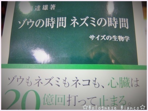 帰国してから～♪ 1月のあれ♪これ♪_d0118050_11491685.jpg