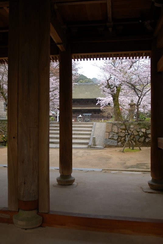 花の寺・五_e0354451_13573352.jpg