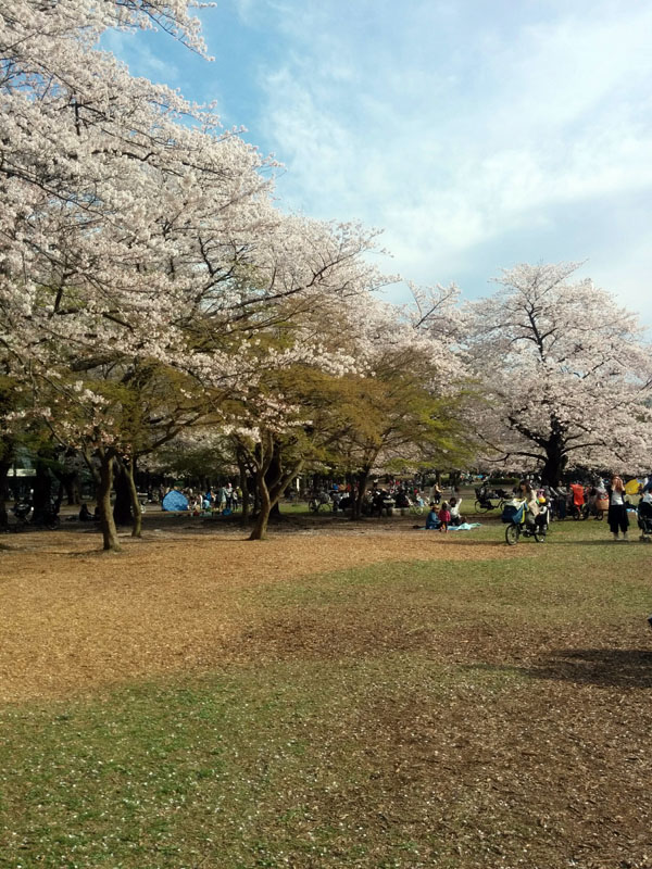 c0058052_2384357.jpg