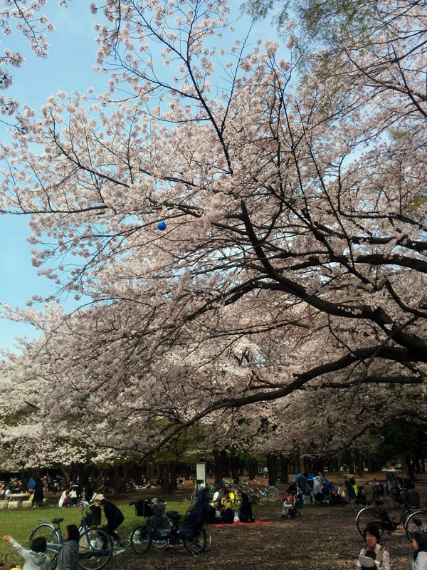 c0058052_2385830.jpg