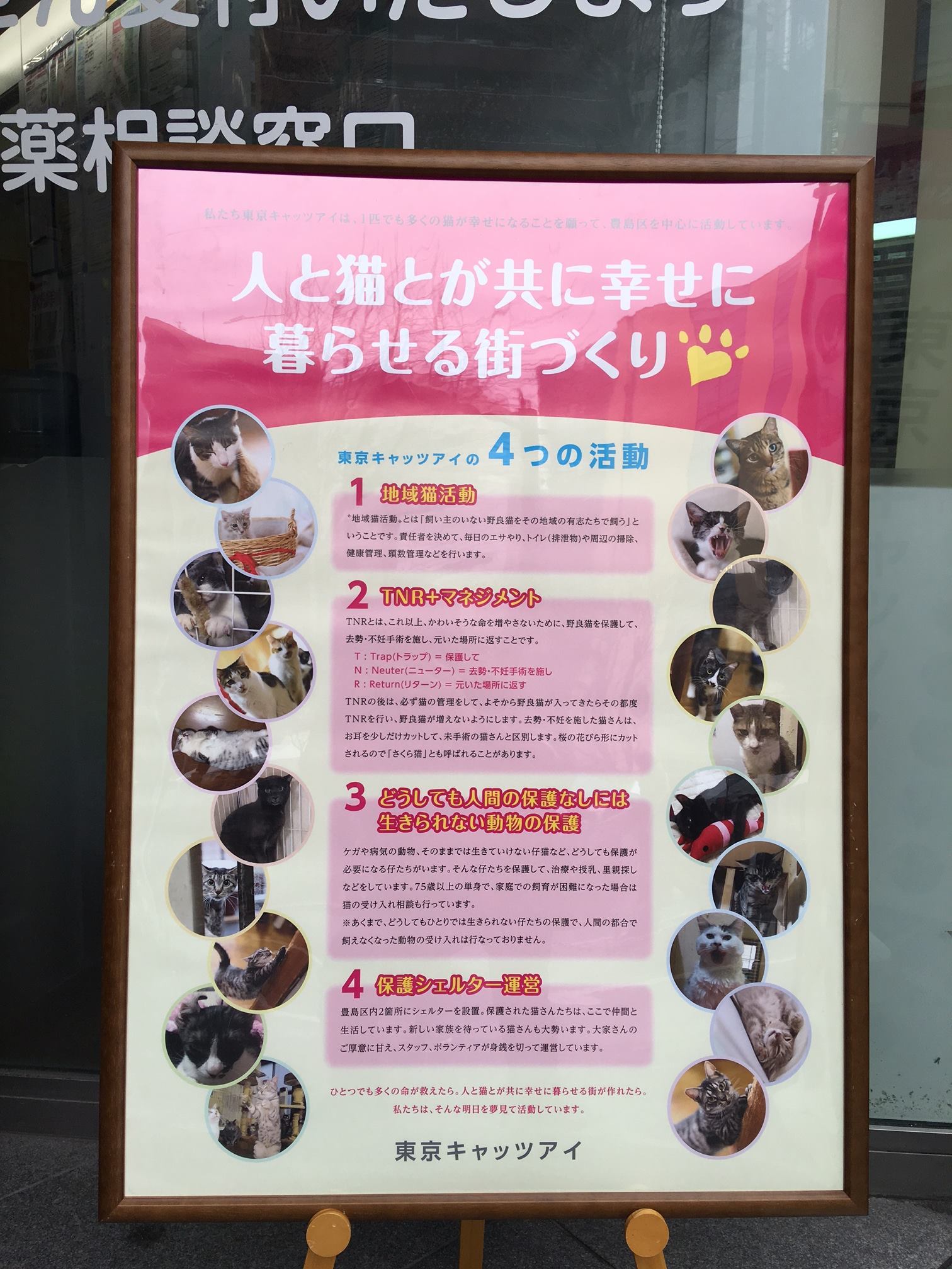 池袋保健所さんと「よのため ひとのため のらのため」_f0193056_09002251.jpg