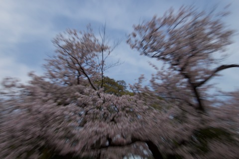 a0248459_16181921.jpg