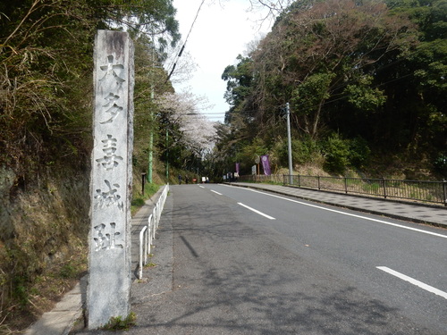 ’16,4,7(木)大多喜城の桜を見にいったYO!_f0060461_7382697.jpg