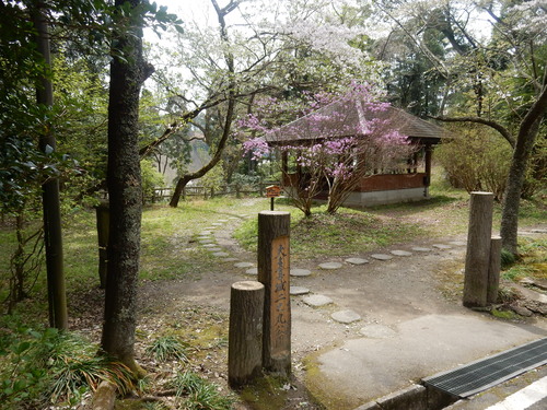 ’16,4,7(木)大多喜城の桜を見にいったYO!_f0060461_7395532.jpg