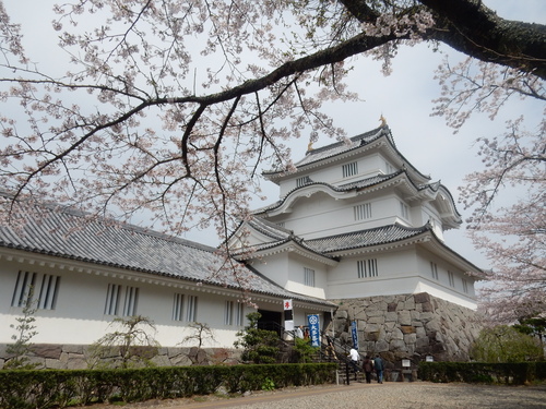 ’１６，４，７（木）大多喜城の桜を見にいったYO!_f0060461_7444181.jpg