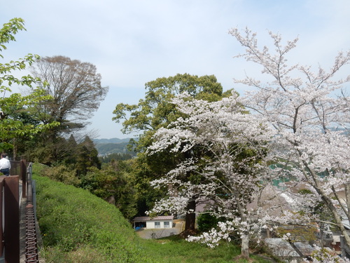 ’16,4,7(木)大多喜城の桜を見にいったYO!_f0060461_7465359.jpg