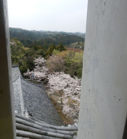 ’１６，４，７（木）大多喜城の桜を見にいったYO!_f0060461_818447.jpg