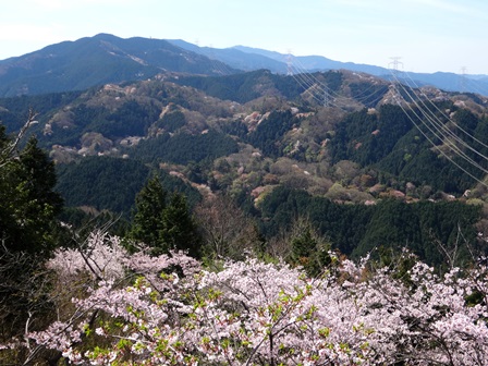 ういういしい花まつり　　東大寺_c0303868_1111947.jpg