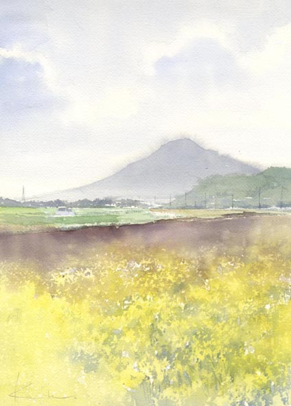 菜の花と桜_f0176370_14361228.jpg