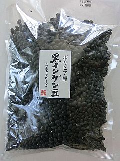 黒インゲン豆 って 作家と不思議なカレー の話 黒インゲン豆 って 作家と不思議なカレー の話